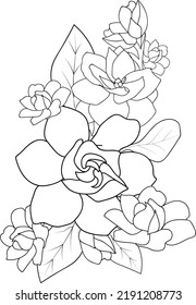 bouquet of roses hand drawn illustration natural gardenia bud isolate image