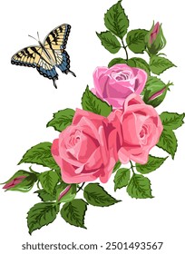 Bouquet of roses in illustration.Vector color illustration with bouquet of pink roses and butterfly on transparent background.
