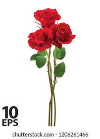 Bouquet of roses, isolated on white. Realistic vector 3d illustration