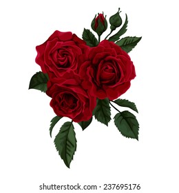 Bouquet of  roses  isolated on white. Perfect for background greeting cards and invitations of the wedding, birthday, Valentine's Day, Mother's Day.