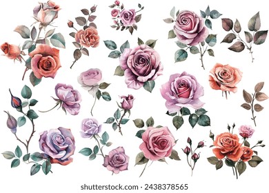 bouquet of roses isolated on white