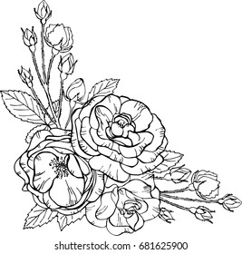Bouquet of roses isolated on white background. Vector illustration. Perfect for invitations, greeting cards, postcard, print, fashion design. All elements are isolated and editable.