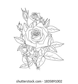 Un ramo de rosas sobre un fondo claro. Ilustración de vectores dibujada a mano. Una rama de rosas.
