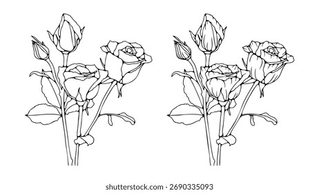 Bouquet of roses sketch isolated on white background. Vector floral illustration hand drawn with rose flowers outlines
