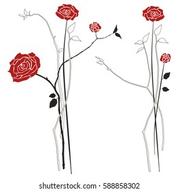 Bouquet of roses, vector illustration, designers elements
