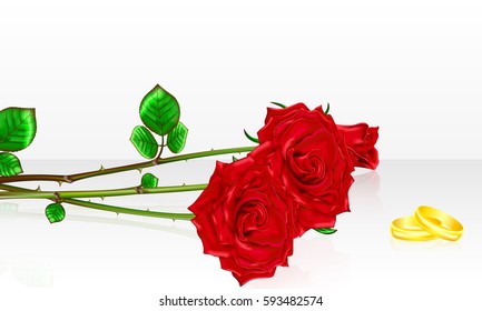 Bouquet of roses with wedding rings. Vector illustration