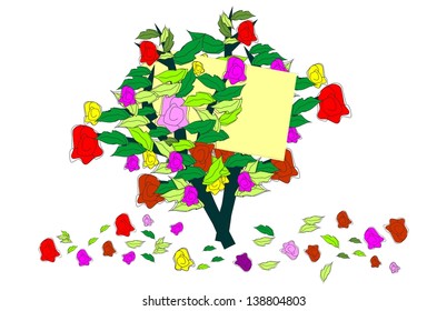 A bouquet of roses for you ...