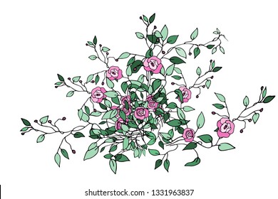 Bouquet of roses.Vector illustration.