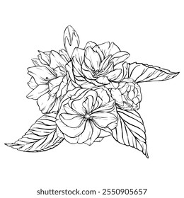 Bouquet with Sakura Flower. Vector hand drawn illustration of Cherry Blossoms on isolated background. Bundle with outline drawing of Buds and Petals. Sketch in line art style painted by black inks