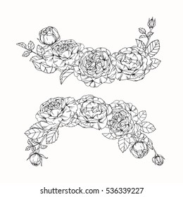 Bouquet set of rose flower by hand drawing on white backgrounds. Vector illustration