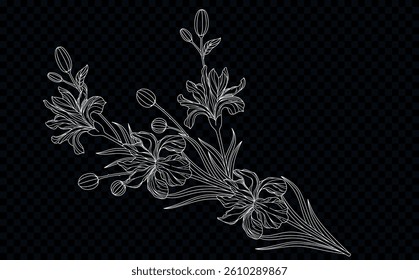 Bouquet silhouette. Vector isolated. Pencil  hand drawn leaves template. Border and frames. herbs. Branches pattern. Minimalism flowers. Elegant irises. Doodle and scribble. Freehand