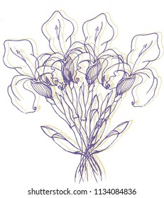 Bouquet of simple irises in vector. Beautiful vintage flowers illustration. Hand drawn irises 