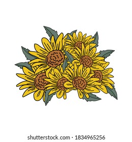Bouquet of small blooming sunflowers with yellow petals and green leaves, vector illustration for design and creativity