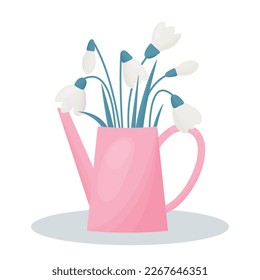 bouquet of snowdrop flowers in pink watering can