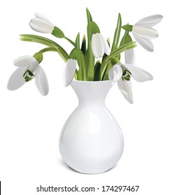 Bouquet of snowdrops in a vase. Vector illustration