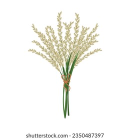 Bouquet of spikelets of rice. Agriculture icon, design element, vector