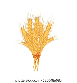 Bouquet of spikelets of wheat. Agriculture icon, design element, vector