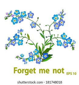 Bouquet spring blue flowers - forget me not - on white background.
