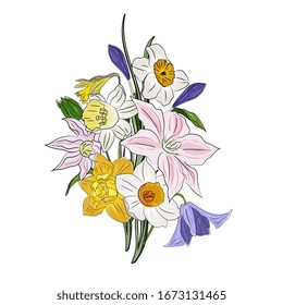 A bouquet of spring clematis and daffodils. Delicate pink and yellow flowers.  Hand drawing, botanical vector illustration.