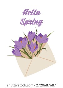 Um buquê de crocuses de primavera em um envelope. Olá, Spring! Uma maneira elegante de parabenizar alguém.