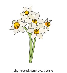 Bouquet of spring flowers of daffodils isolated on white background
