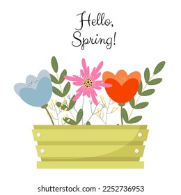 Bouquet of spring flowers inside the box with text Hello spring. Flat design. Hand drawn trendy vector greeting card.