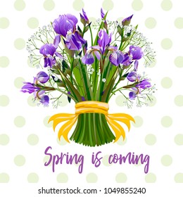 Bouquet of spring flowers – Iris and gypsophila