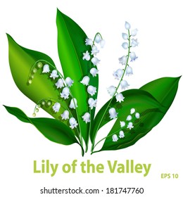 Bouquet spring flowers - lilies of the valley - on white background.