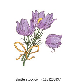 Bouquet of spring flowers pulsatilla with yellow ribbon. Vector illustration