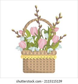 Bouquet of spring flowers of snowdrops, pink tulips and willow branches in a festive wicker basket. Cartoon vector graphics.