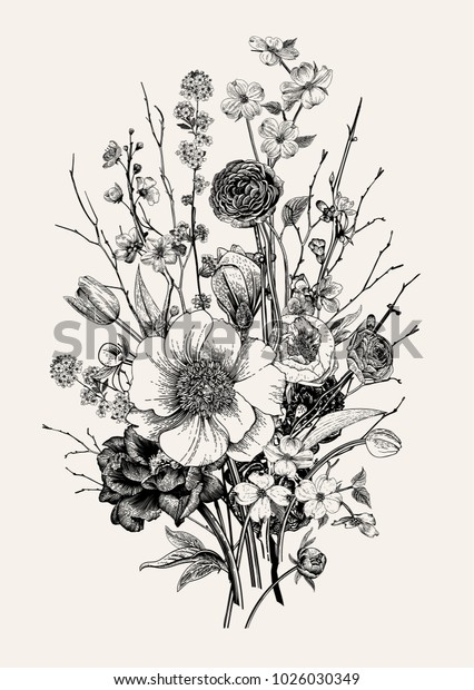 ブーケ 春の花と小枝 牡丹 スピレア 桜 ドッグウッド ビンテージの植物イラスト 白黒 のベクター画像素材 ロイヤリティフリー