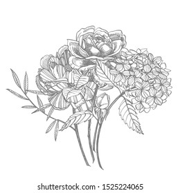 Bouquet. Spring Flowers and twigs. Peonies, Hydrangea, Rose. Vintage botanical illustration. Black and white set of drawing cornflowers, floral elements, hand drawn botanical illustration