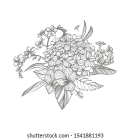 Bouquet. Spring Flowers and twigs. Peonies, Hydrangea, Rose. Vintage botanical illustration. Black and white set of drawing cornflowers, floral elements, hand drawn botanical illustration