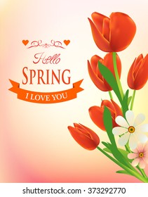 bouquet of spring flowers vector holiday gift