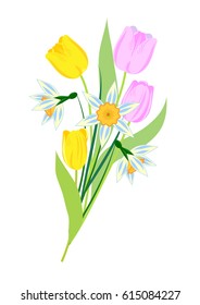 Bouquet of spring flowers, vector illustration