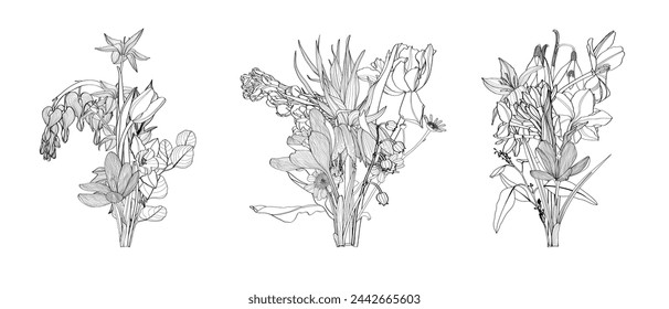 Bouquet of spring line flowers. Big Set. Vintage flowers in engraving style. 