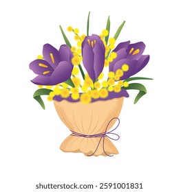 Bouquet of spring purple crocus isolated  on white background. Design for postcards on Valentines Day, Womans Day, Mothers Day, birthday.