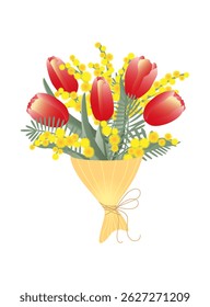 Bouquet of spring red tulips and mimosa  isolated  on white background. Design for postcards on Valentines Day, Womans Day, Mothers Day, birthday.