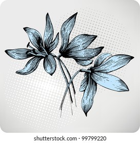 Bouquet of spring Scilla, hand-drawing. Vector illustration.
