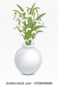 Bouquet of spring snowdrops in a vase isolated on white transparent background. Realistic 3d flowers. Vector floral illustration EPS10