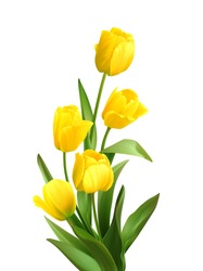 Bouquet Of Spring Yellow Tulips Isolated On White Background. Realistic Vector Illustration EPS10