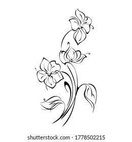 bouquet of stylized flowers on long stems with leaves in black lines on a white background