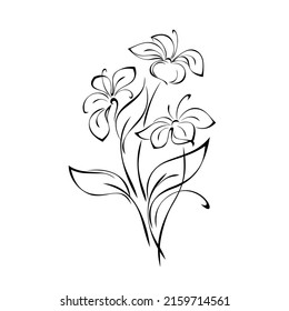 bouquet of stylized flowers on long stems with leaves. graphic decor