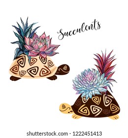 A bouquet of succulents in a flower pot in the form of a turtle. Graphics and watercolor spots. Vector.