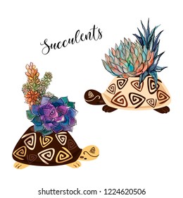 A bouquet of succulents in a flower pot in the form of a turtle. Graphics and watercolor spots. Vector.