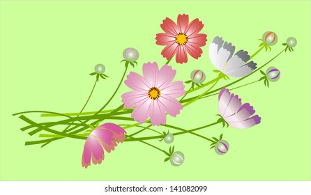 bouquet of summer flowers on a green background
