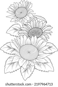 bouquet of sun flower hand drawn botanic illustration vector art leaf branch isolated floral pencil sketch coloring page for adult