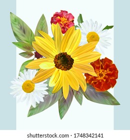 Bouquet of sunflower flower, white chamomile and marigold, amaranth leaves, postcard, flower arrangement, vector illustration