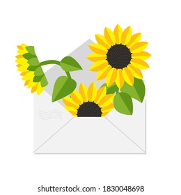  Un ramo de girasoles en un sobre. Tarjeta de felicitación vectorial. Ilustración de estilo plano.