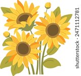 Bouquet of sunflowers on white background. Vector illustration in flat style. Yellow summer flowers isolated